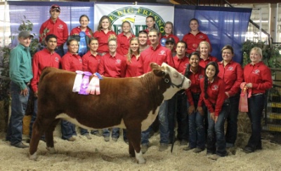 Members Showing at the Fresno Fair