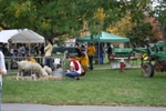 Cornell Chapter Hosts Semesterly Ag Day