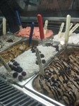 UF Gelato Company Fundraiser 11/21/11