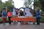 Alpha Zeta - Cal Epsilon Volunteer's at Annual Fresno Chaffee Zoo, Zoo Boo Event