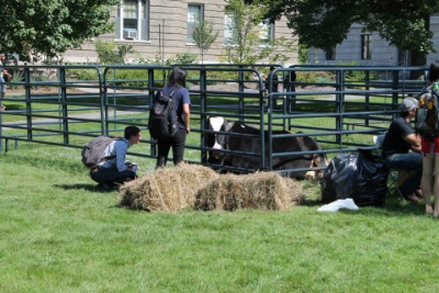 Ag Day on the Ag Quad