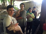 Puerto Rico Chapter Pig Farm Visit