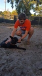 Florida Chapter Service at the Humane Society