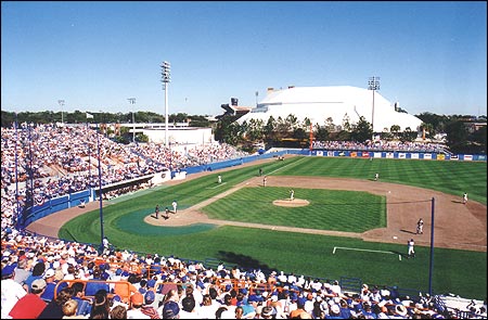 Florida Chapter Baseball Concessions