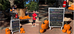 North Carolina Chapter Has a Pumpkin Sale Fundraiser October 21st, 2019