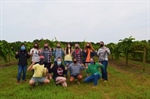 North Carolina Chapter Farm Tour to Muscadine Grape Farm