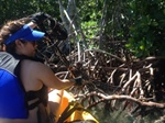 Florida Chapter Service Trip: cleaning Sugarloaf Key