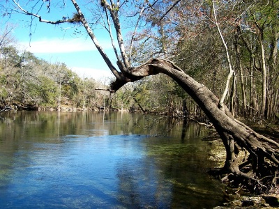 UF AZ Canoe Trip