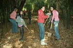 Rutgers Garden Clean Up