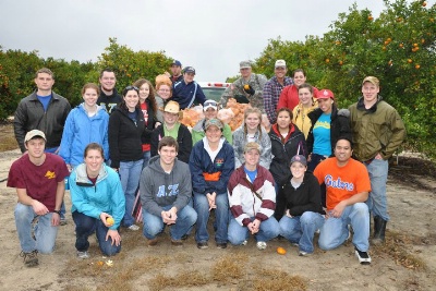 UF AZ National Service Project