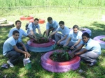 Sustainable Agriculture School Project (Puerto Rico chapter)